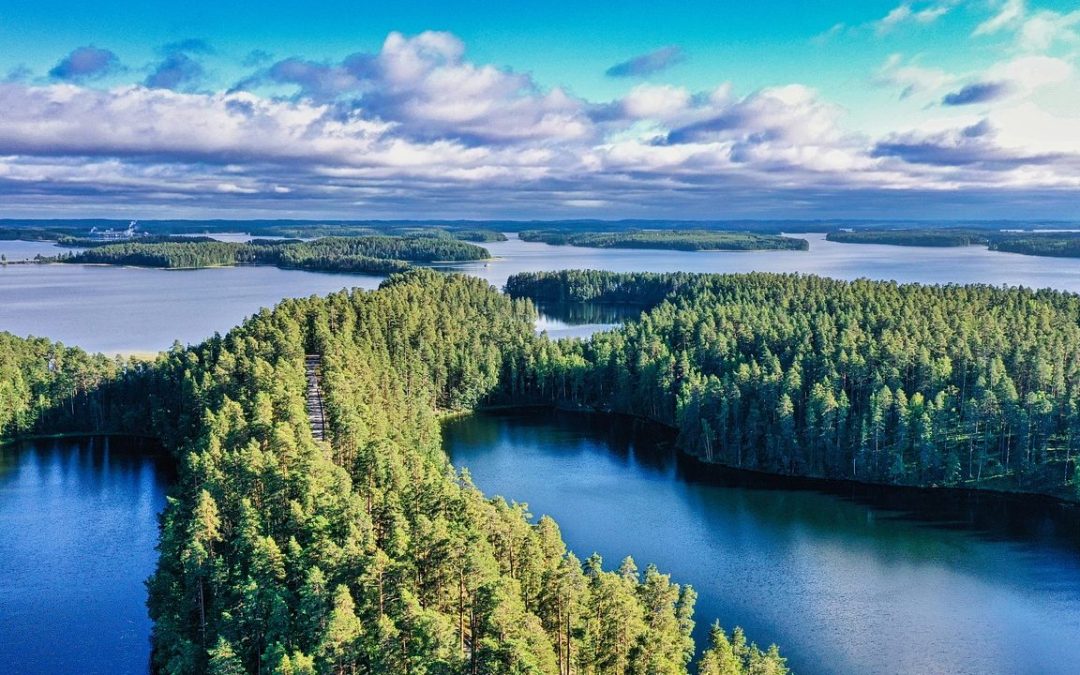 Metsäarvio paljastaa metsän todellisen arvon – näin hyödyt arviosta