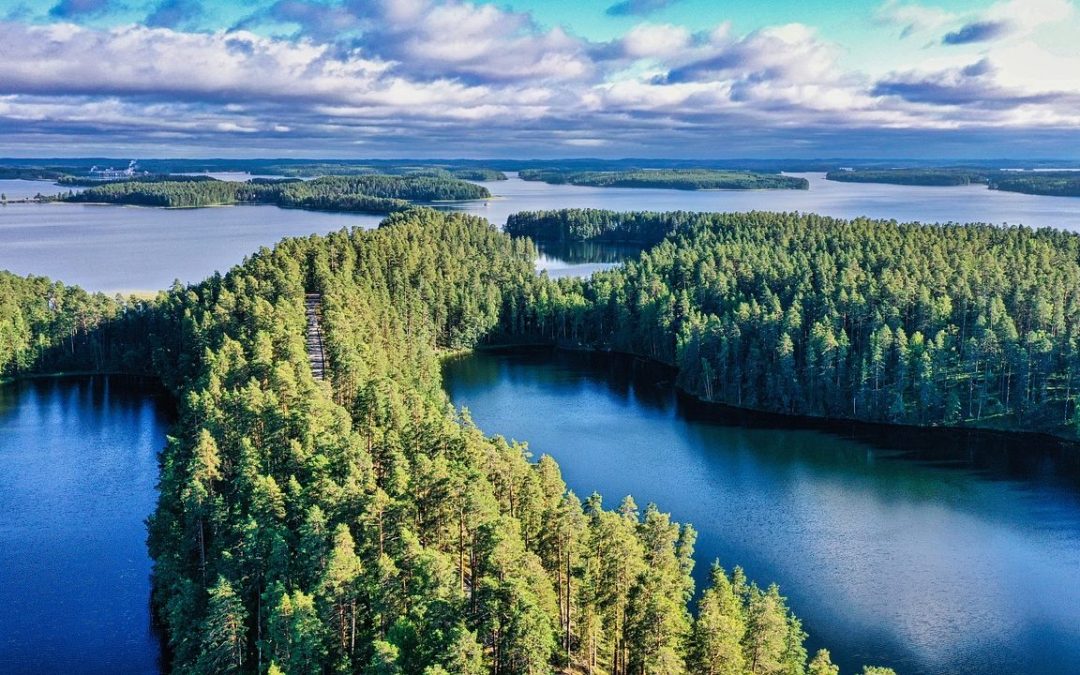 Ostetaan metsätila – 7 vaihetta metsätilakauppaan