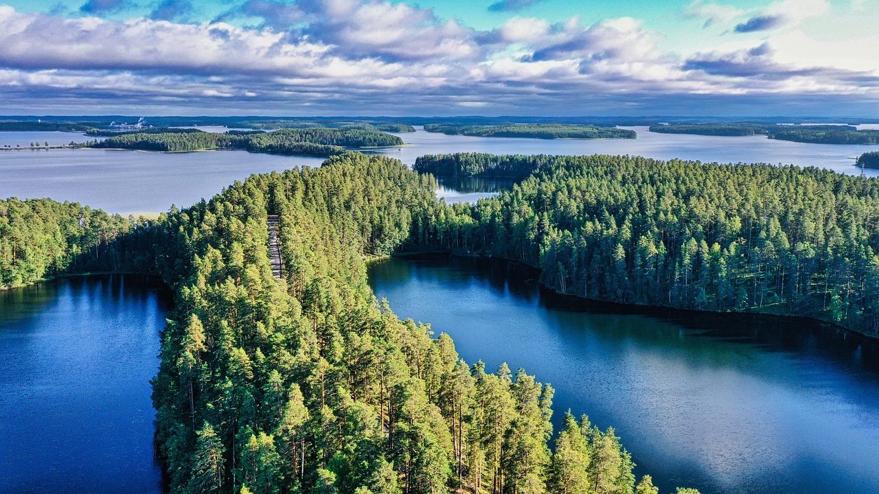 Ostetaan metsätila – 7 vaihetta metsätilakauppaan